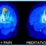 cervello mindfullness meditazione