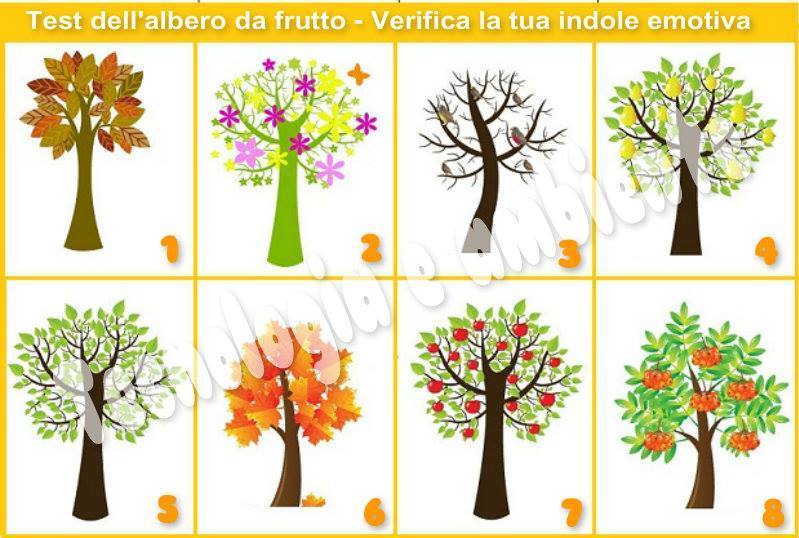 test-albero-da-frutto
